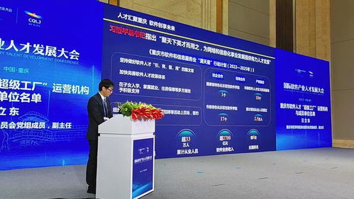 國際軟件產業人才發展大會在渝舉行 軟件人才的 超級工廠 來了
